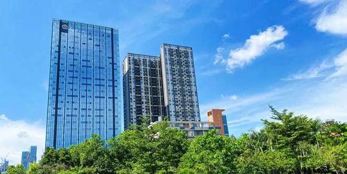 禹洲集团最新爆料新闻,揭秘企业转型与市场布局新篇章